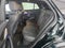 2024 Mercedes-Benz AMG® GLE 53 4MATIC®+ Coupe