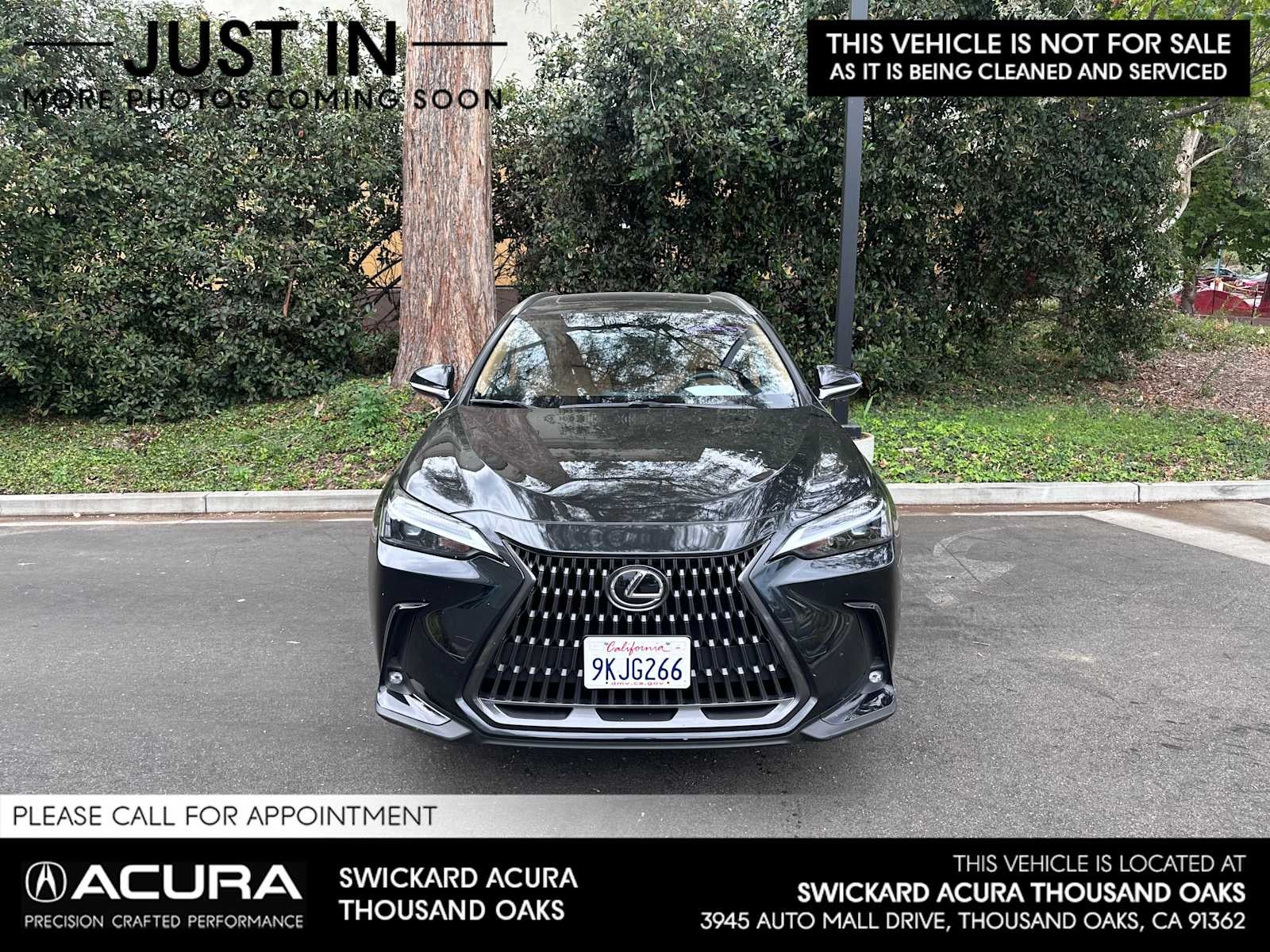 2024 Lexus NX 350 NX 350