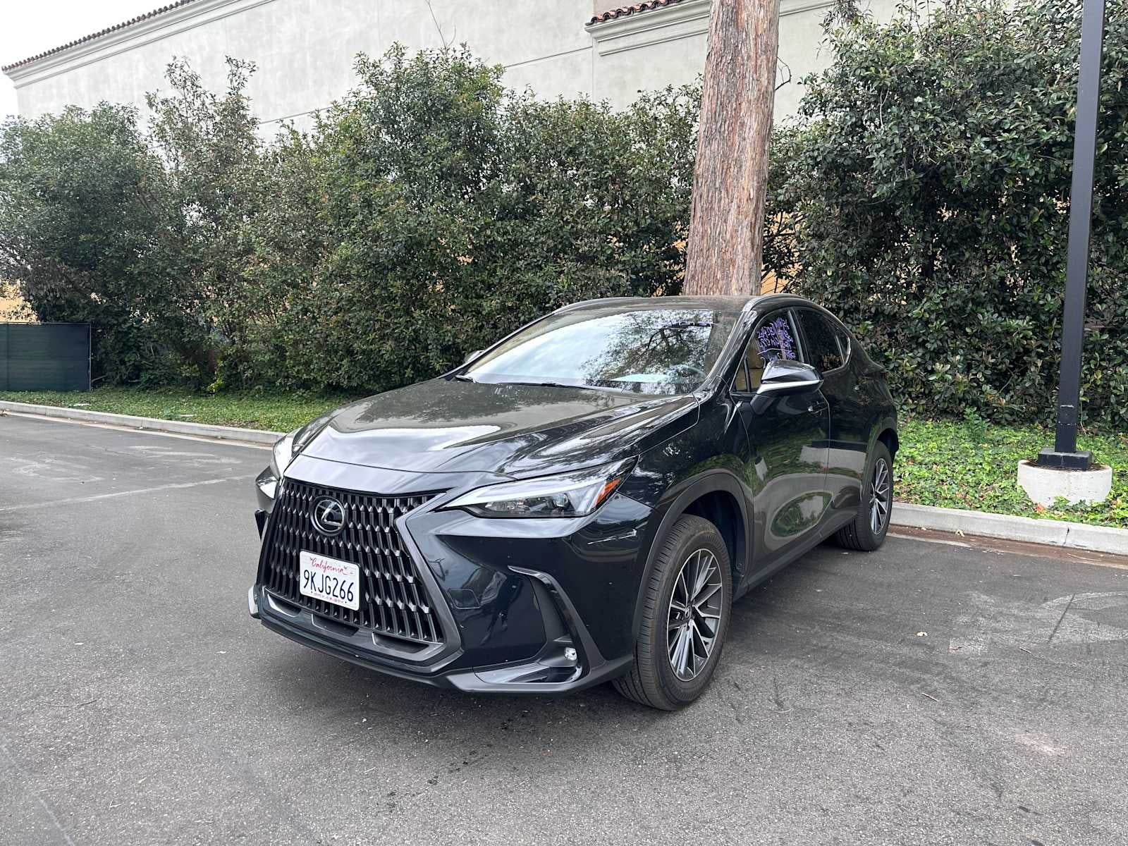 2024 Lexus NX 350 NX 350