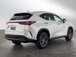2025 Lexus NX NX 250