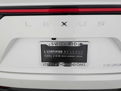 2025 Lexus NX 250 NX 250