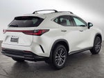 2025 Lexus NX 250 NX 250
