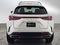 2025 Lexus NX 250 NX 250