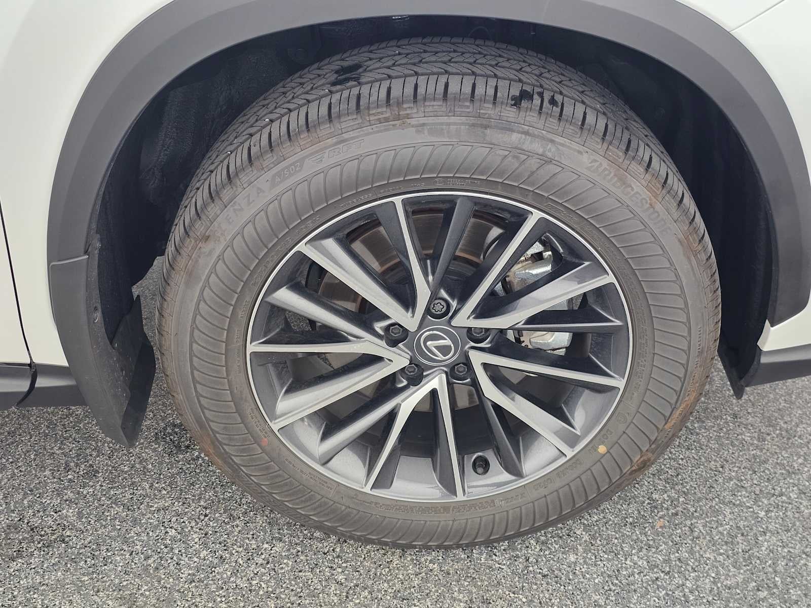 2025 Lexus NX 250 NX 250