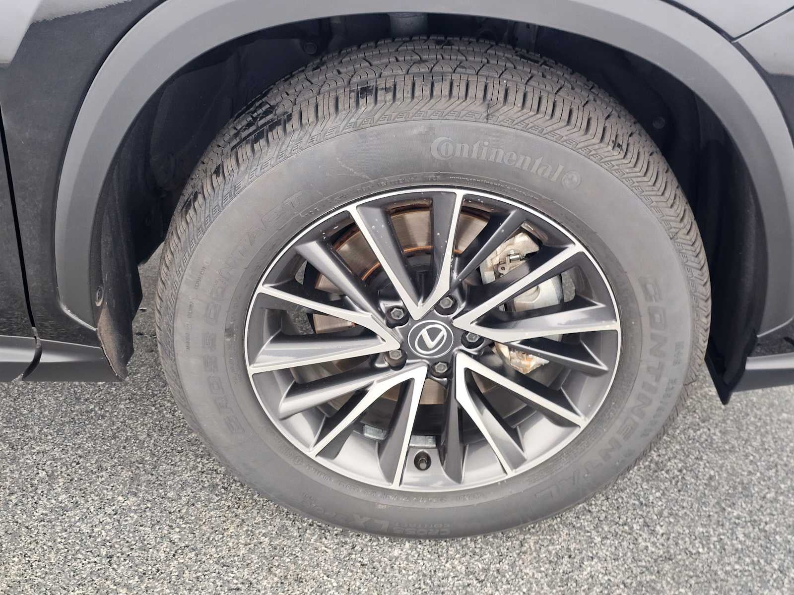 2024 Lexus NX NX 250