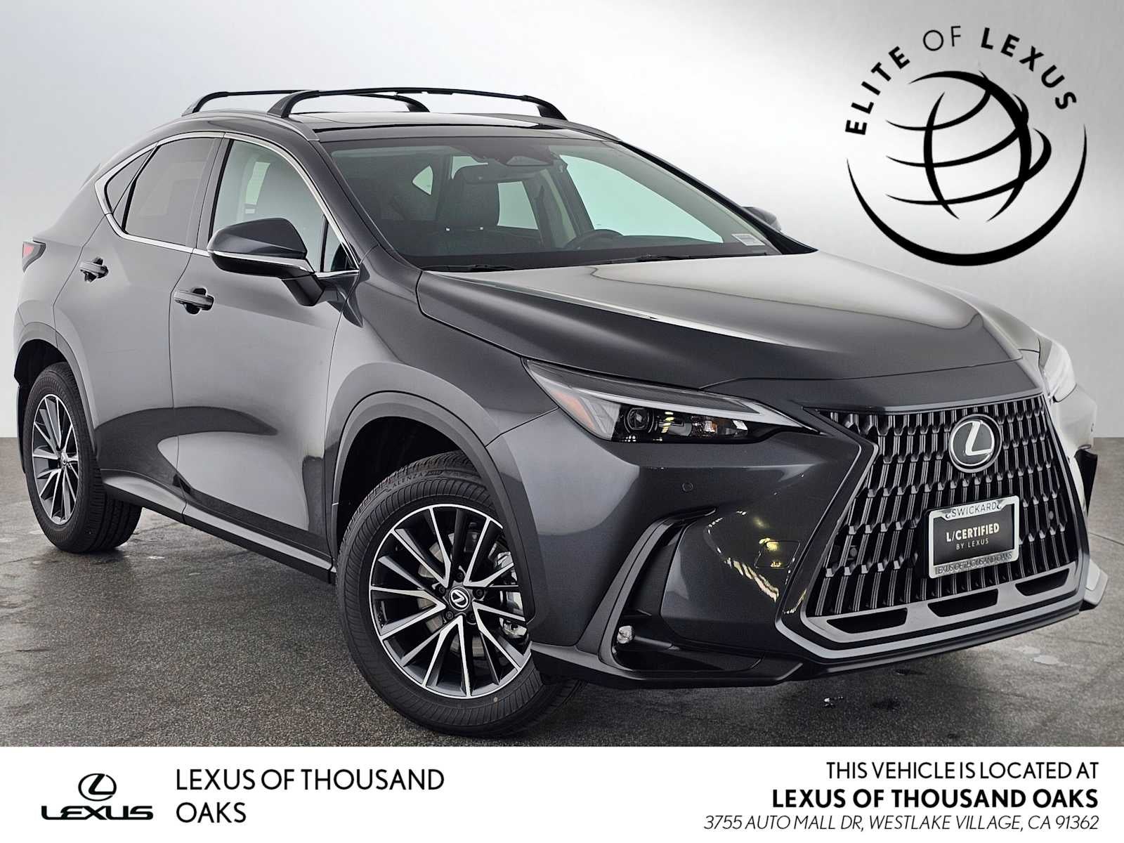 2025 Lexus NX 250 NX 250