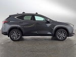 2025 Lexus NX 250 NX 250