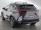 2025 Lexus NX 250 NX 250