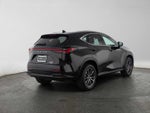 2024 Lexus NX 350 NX 350