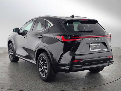 2024 Lexus NX 350 NX 350