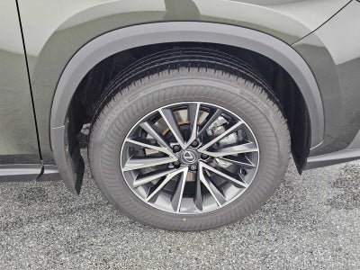 2025 Lexus NX Premium