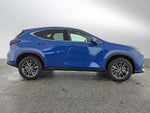 2023 Lexus NX 250 Premium