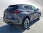 2024 Lexus NX 350 Luxury