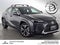 2025 Lexus UX 300h UX 300h