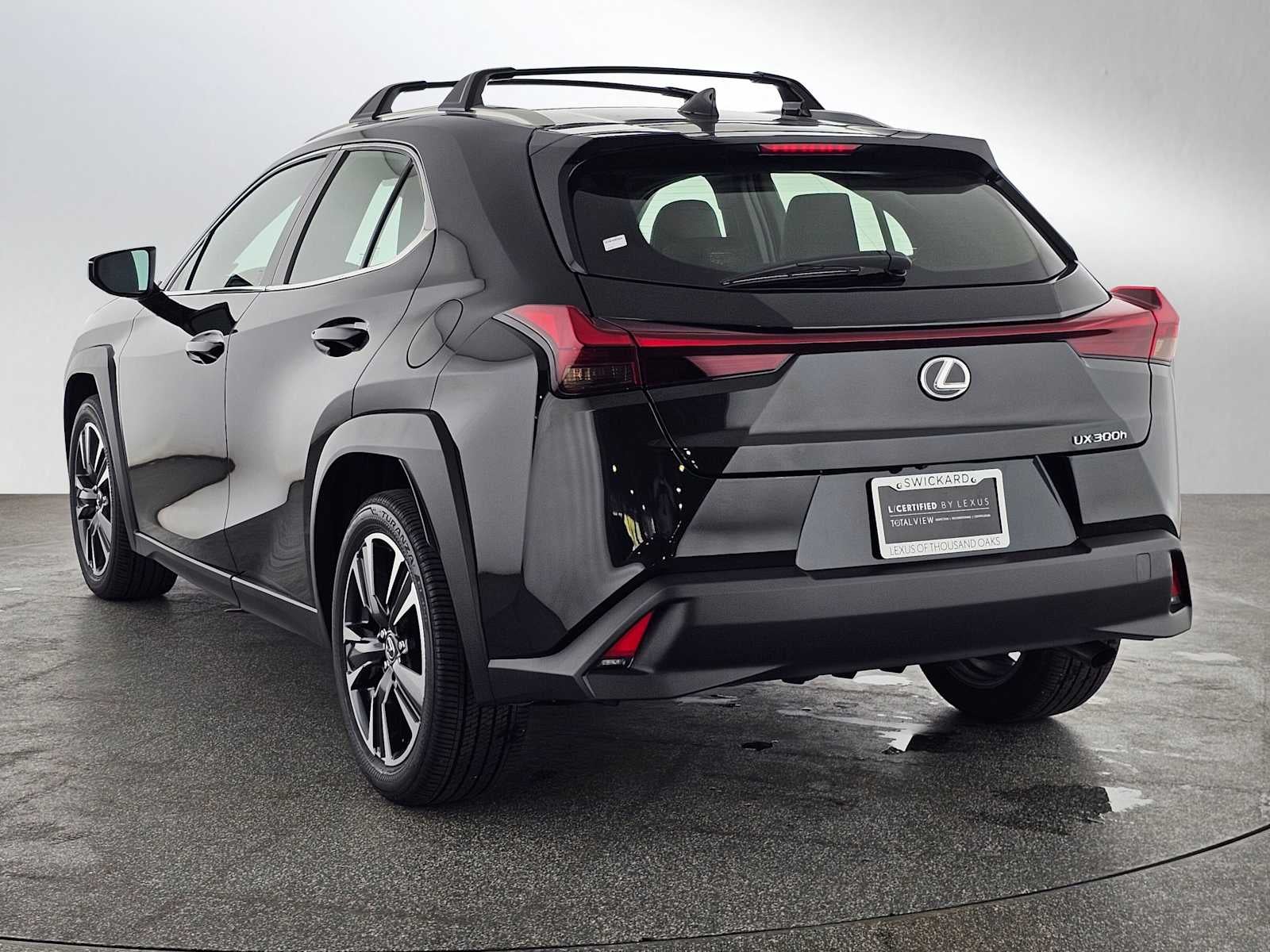 2025 Lexus UX 300h UX 300h