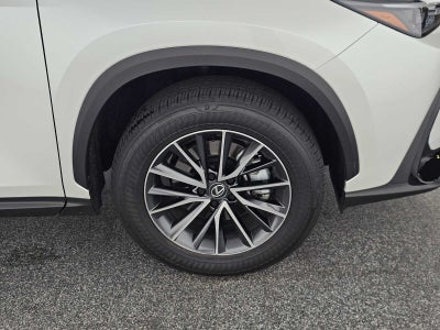 2025 Lexus NX 350h Premium