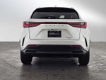 2025 Lexus NX Premium