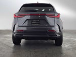 2025 Lexus NX Premium