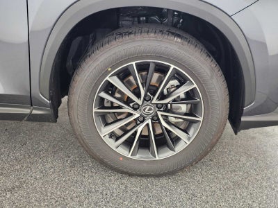 2025 Lexus NX Premium