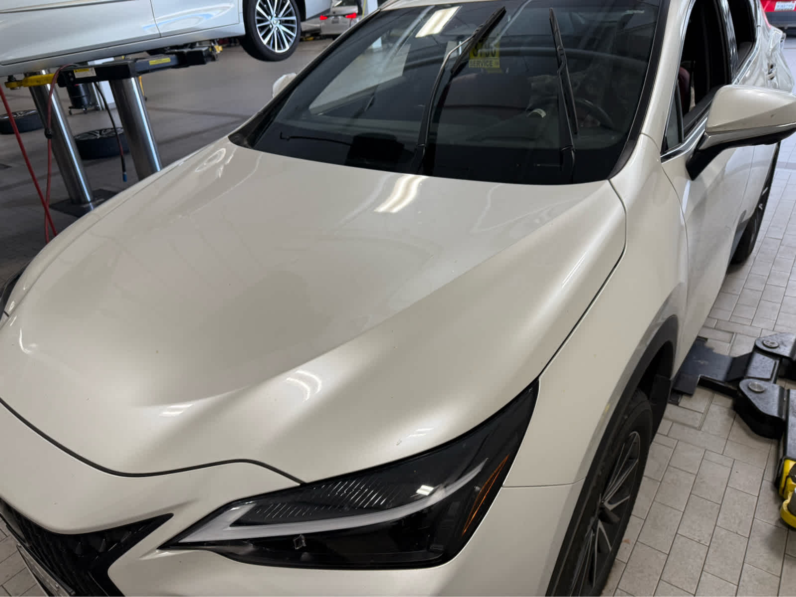 2025 Lexus NX 350h Premium