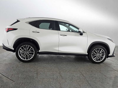 2025 Lexus NX Luxury