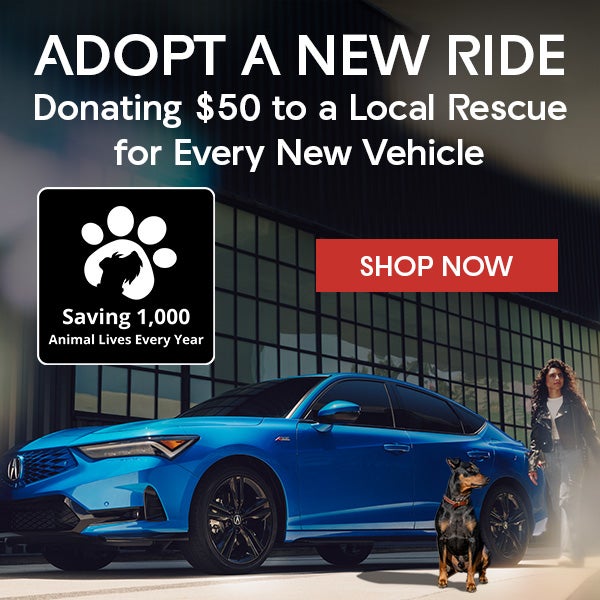 adopt