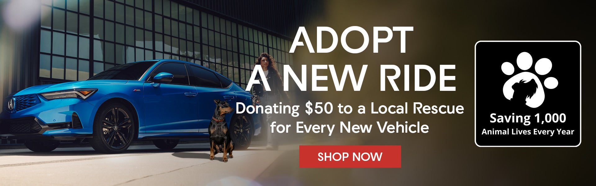 adopt